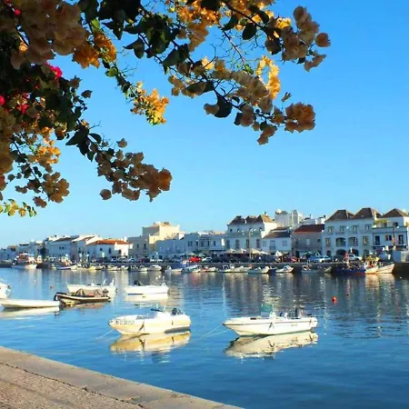 Mia, Quinta Da Foz * タヴィラ