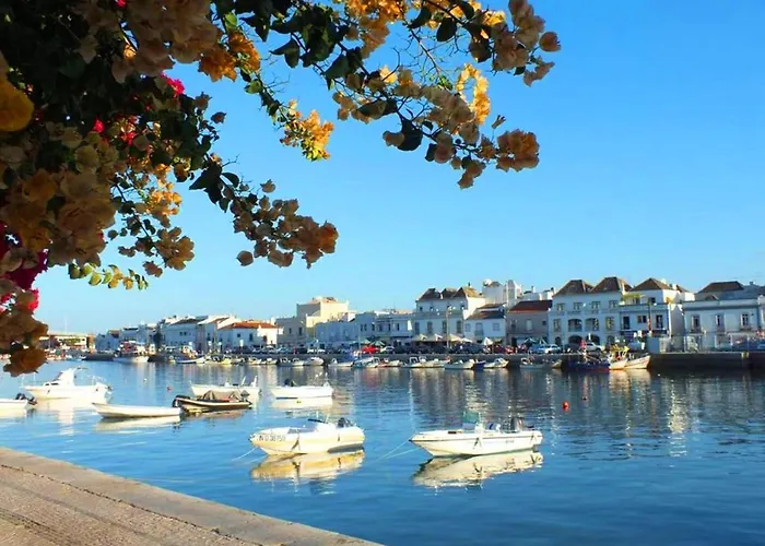 Mia, Quinta Da Foz * タヴィラ